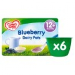 Blueberry Dairy Pots from 12+ Months £1.25