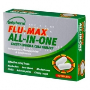 Galpharm Flu Max All In One 16 Pack £1.00