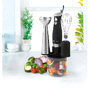 RobertDyas  Salter EK2827 3-in-1 Blender Set