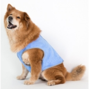 CocoJojo Pet Cooling Vest L £9.59