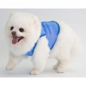 CocoJojo Pet Cooling Vest S £7.19