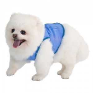 JTF  CocoJojo Pet Cooling Vest XS