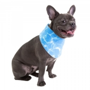 CocoJojo Pet Cooling Bandana M