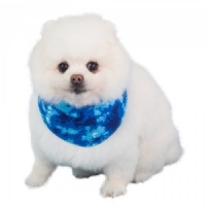 JTF  CocoJojo Pet Cooling Bandana S