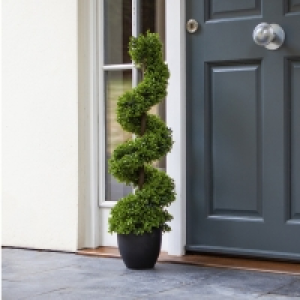 Smart Garden Topiary Twirl £34.99