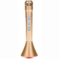 BMStores  Boombeatz Bluetooth Karaoke Microphone - Gold