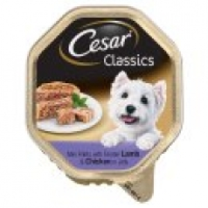 Asda Cesar Classics Lamb and Chicken Jelly Wet Adult Dog Food Tray