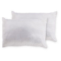 Aldi  Climate Control Pillow Set
