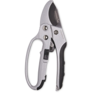 Ratchet Pruner £3.99