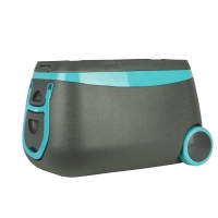 RobertDyas  Cooler with Handle and Wheels - 50L