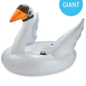 Intex Swan Giant Ride On Float £19.99
