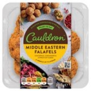 Cauldron Vegetarian Falafel £1.00