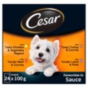 Cesar Deliciously Fresh Favourites Sauce Wet Adult Dog Food Pouche