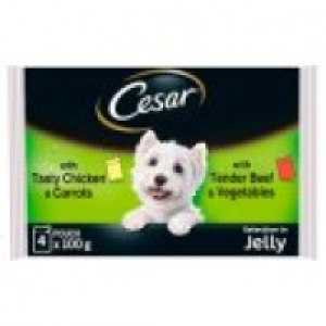 Cesar Deliciously Fresh Mixed in Jelly Wet Adult Dog Food Pouches