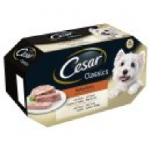 Cesar Classics Mixed Selection Jelly Wet Adult Dog Food Trays x 4