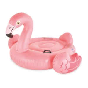 Inflatable Animal Flamingo Float