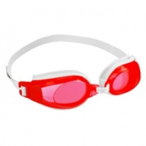 Swimming Goggles £1.00