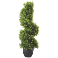 Aldi  Cypress Topiary Spiral
