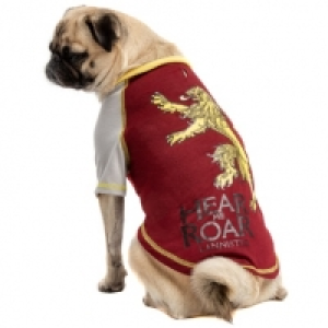 Game of Thrones Dog T-Shirt £2.00