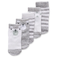 Aldi  Bear Baby Socks 5 Pack