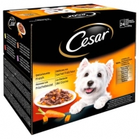 BMStores  Cesar Dog Food - Favourites in Sauce 24 x 100g