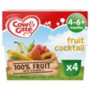 Fruit Cocktail 100% Fruit Pots 4m+ £1.45