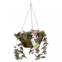 RobertDyas  Smart Garden Star Gazing Lilles Hanging Basket