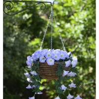 RobertDyas  Smart Garden Spring Bloom Hanging Basket