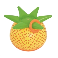 RobertDyas  Bestway Inflatable Pineapple Blast