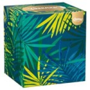 Kleenex Collection Cube Single Box Tissues £1.00