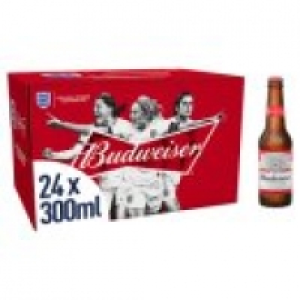 Lager Beer Bottles £12.00