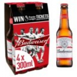 Lager Beer Bottles £3.00