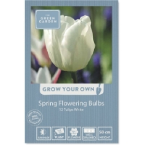 Spring Flowering Bulbs £1.69