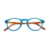 Aldi  Blue/Demi Brown Reading Glasses