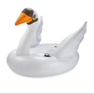 Intex Swan Giant Ride On Float £11.99