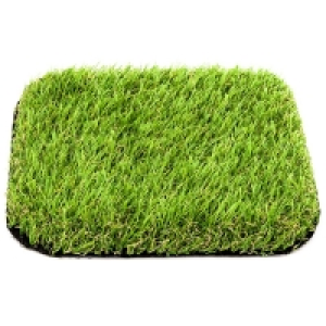 RobertDyas  Belair Artificial Grass - 2m Width
