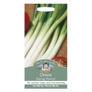 RobertDyas  Mr Fothergills Onion (Spring) Ramrod Seeds