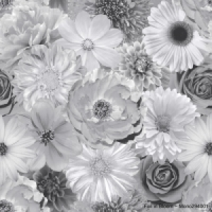 Wilko  Arthouse Foil in Bloom Mono Wallpaper