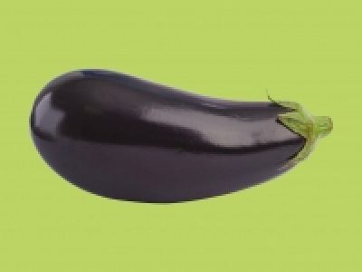 Aubergine1