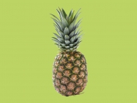 Lidl  Pineapple1