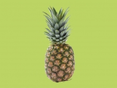 Pineapple1