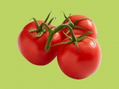 Vine Tomatoes1
