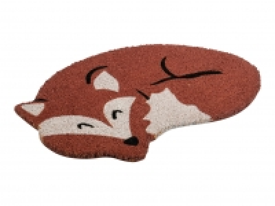 Meradiso Coir Doormat1