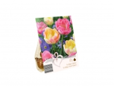 Colour Mix Bulbs1