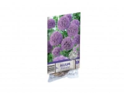 Lidl  Allium Bulbs1