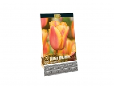 Premium Bulbs1