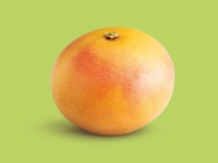Lidl  Grapefruit1
