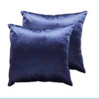 Aldi  Blue Velvet Cushion 2 Pack