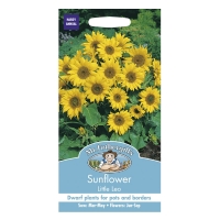 RobertDyas  Mr Fothergills Sunflower Little Leo Seeds