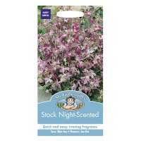RobertDyas  Mr Fothergills Stock Night Scented Seeds